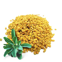 Шамбала (ваговий) Шамбала (ваговий)