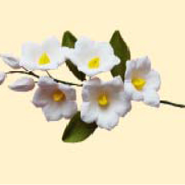 Дзвоники лісові білі /14шт