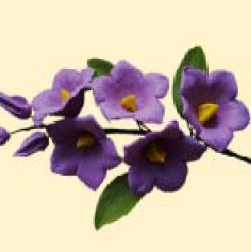 Дзвоники лісові бузкові /14шт