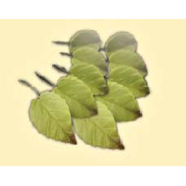 Листок троянди L=40мм тонований (10шт/50уп/ящ)