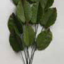 Листок троянди L=30мм тонований (10шт/50уп/ящ)