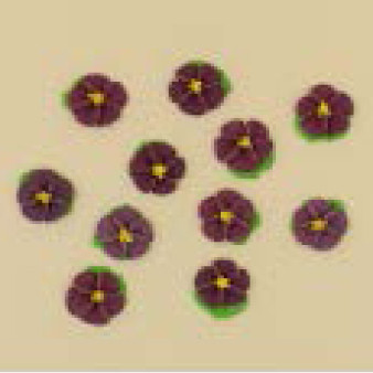 Набір кондитерських цукрових прикрас 