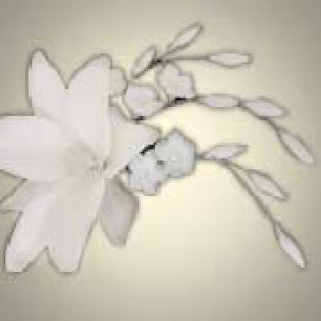 Кондитерська цукрова прикраса 