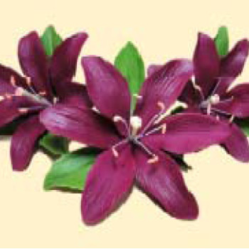 Лілія бордова L=60 з листочками (3шт/8уп/ящ) бл