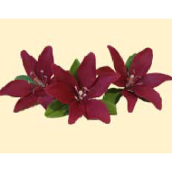 Кондитерська цукрова прикраса 