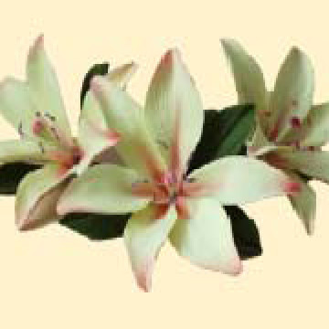 Лілія лимонна L=60мм з листочками (3шт/8уп/ящ) бл, 100000966