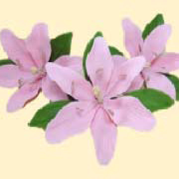 Лілія рожева L=60мм з листочками (3шт/8уп/ящ), 100000578