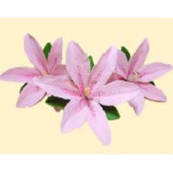 Кондитерська цукрова прикраса 