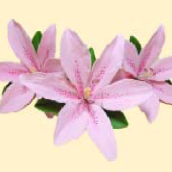 Кондитерська цукрова прикраса 