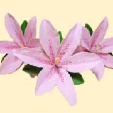 Кондитерська цукрова прикраса 