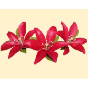 Лілія темно-червона L = 60 з листочками (3шт) / 8шт