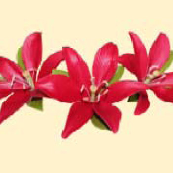 Кондитерська цукрова прикраса 