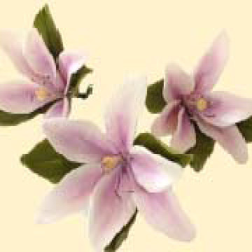 Лілія тонована бузкова L=80мм з листочками (3шт/6уп/ящ) бл