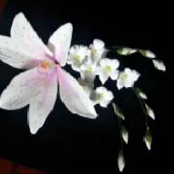 Кондитерська цукрова прикраса 