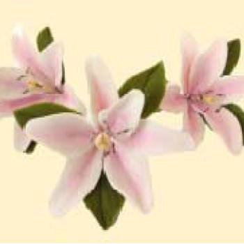 Лілія тонована рожева L=60мм з листочками (3шт/8уп/ящ) бл