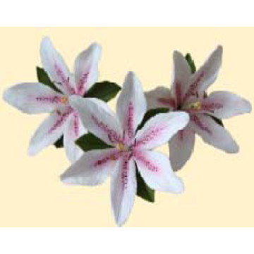 Лілія тонована рожева L=80мм з листочками (3шт/6уп/ящ) бл