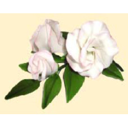 Гілочка еустоми тонована рожева / 14шт