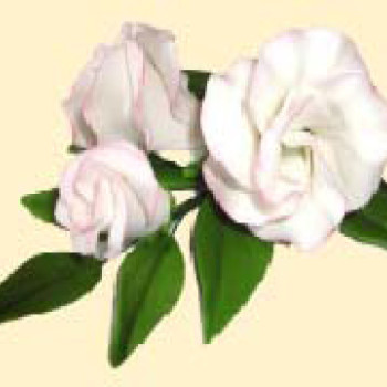 Гілочка еустоми тонована рожева / 14шт