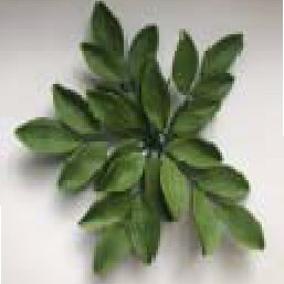 Гілочка листка дзвоника L=100мм (5шт/20уп/ящ)