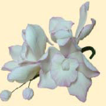 Кондитерська цукрова прикраса 