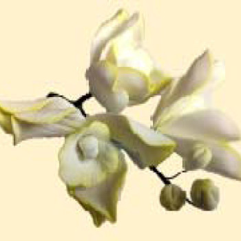 Кондитерська цукрова прикраса 