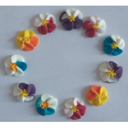 Фіалка мікс 48шт