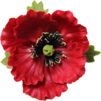 Мак з листочками