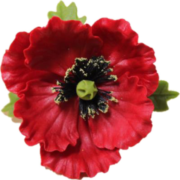 Мак з листочками