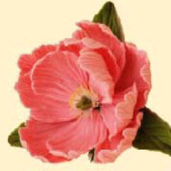 Піон рожевий D=90 з листочками /8шт