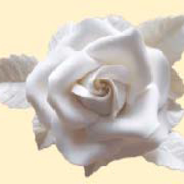 Троянда Елітна срібляста (біла) /8шт