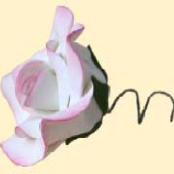 Троянда Преміум тонована рожева /27шт