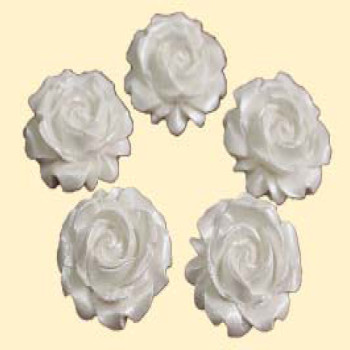 Троянда мала біла перламутрова (5 шт) / 50шт