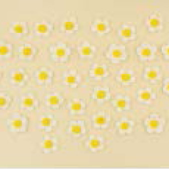 Набір кондитерських цукрових прикрас 