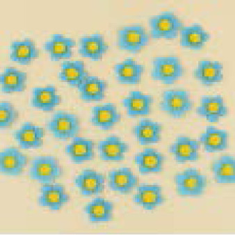 Набір кондитерських цукрових прикрас 
