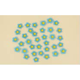 Набір кондитерських цукрових прикрас  