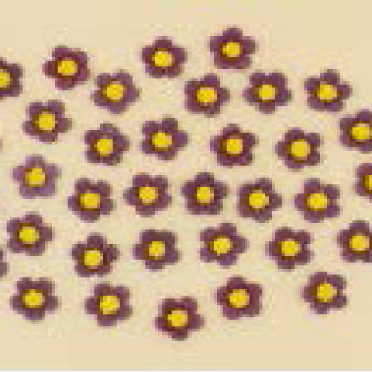 Набір кондитерських цукрових прикрас 