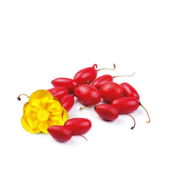 Барбарис (Весовой)