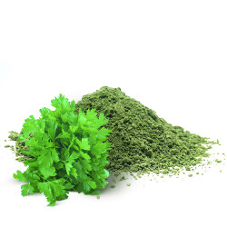 Сушена Петрушка (Вагова) мелена Сушена Петрушка (Вагова) мелена