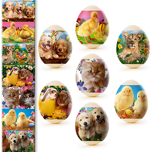 Стрічка Стрічка