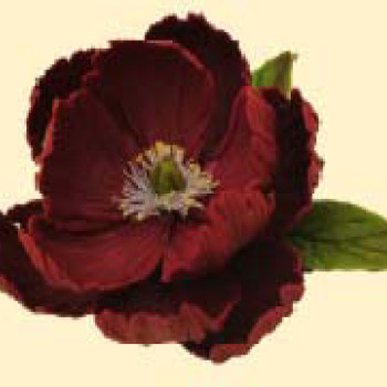 Піон бордовий D=90 з листочками /8шт