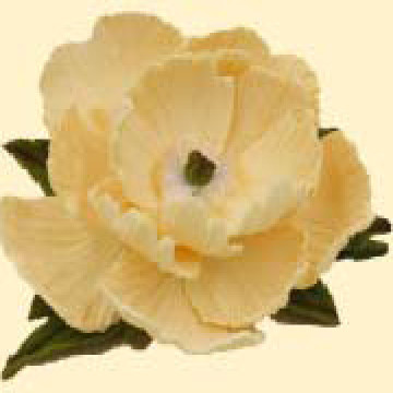 Піон ванільний D=100мм з листочками (8уп/ящ) бл, 100000741