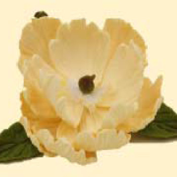 Піон ванільний D=90 з листочками /8шт