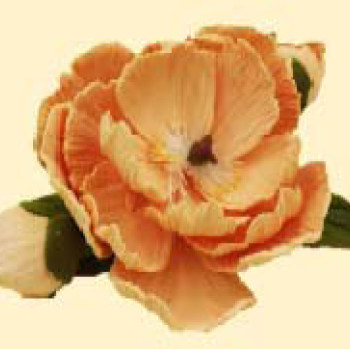 Кондитерська цукрова прикраса 