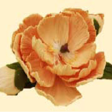 Кондитерська цукрова прикраса 