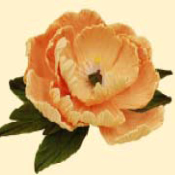 Піон персиковий D=100 з листочками (8уп/ящ) бл