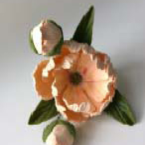 Піон персиковий D=90 з бутонами /8шт