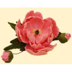 Кондитерська цукрова прикраса 