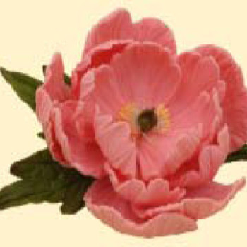 Піон рожевий D=100 з листочками (8уп/ящ) бл