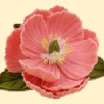 Піон рожевий D = 60 з листочками / 27шт