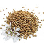Коріандр цілий (ваговий)